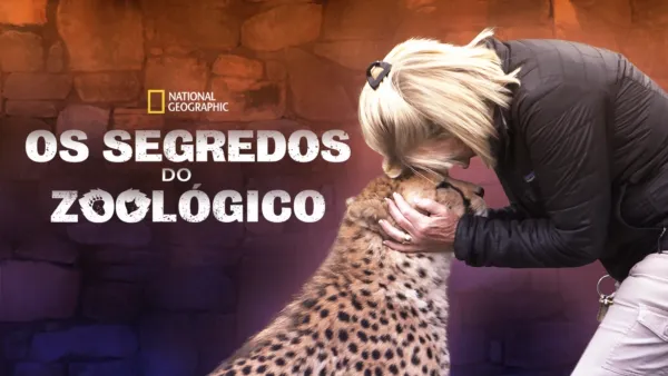 thumbnail - Os Segredos do Zoológico