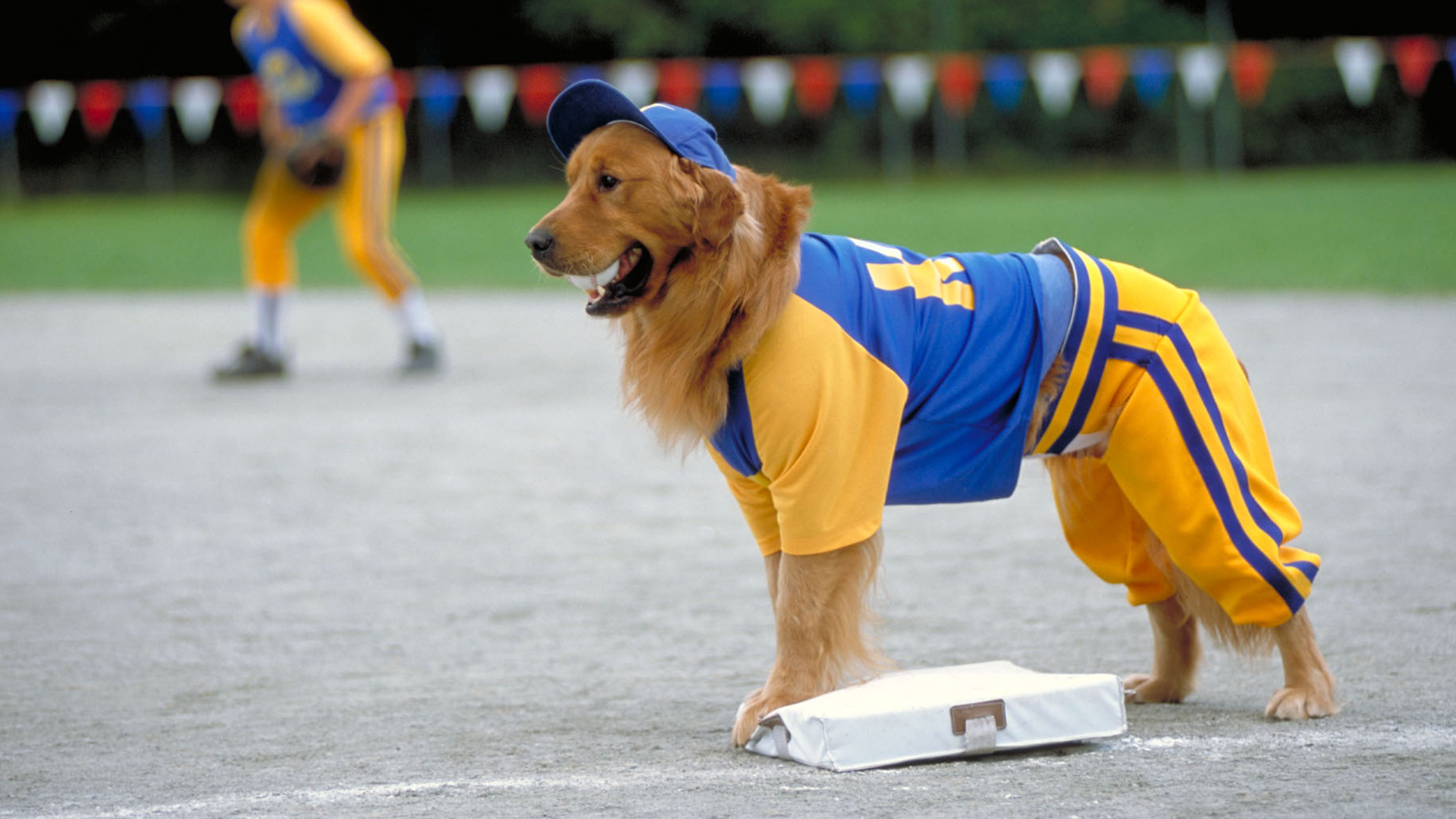 Air Bud: Seventh Inning Fetch