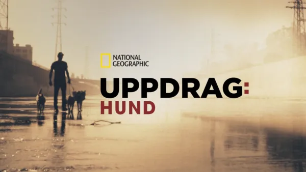 thumbnail - Uppdrag: Hund