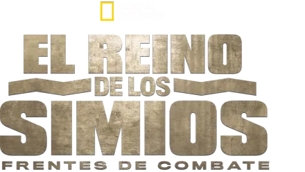 El reino de los simios: frentes de combate