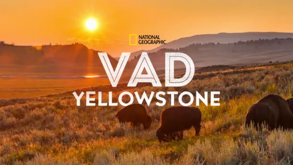 thumbnail - Vad Yellowstone