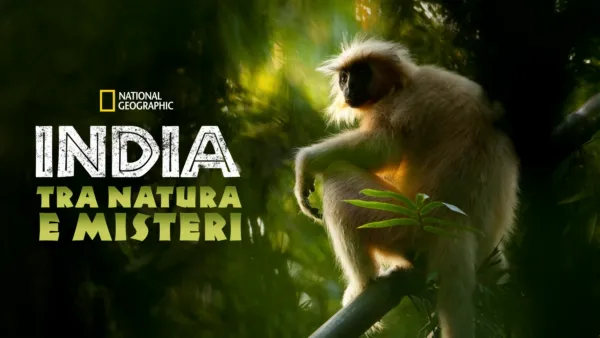 thumbnail - India: Tra Natura e Misteri