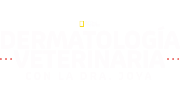 Dermatología veterinaria con la Dra. Joya