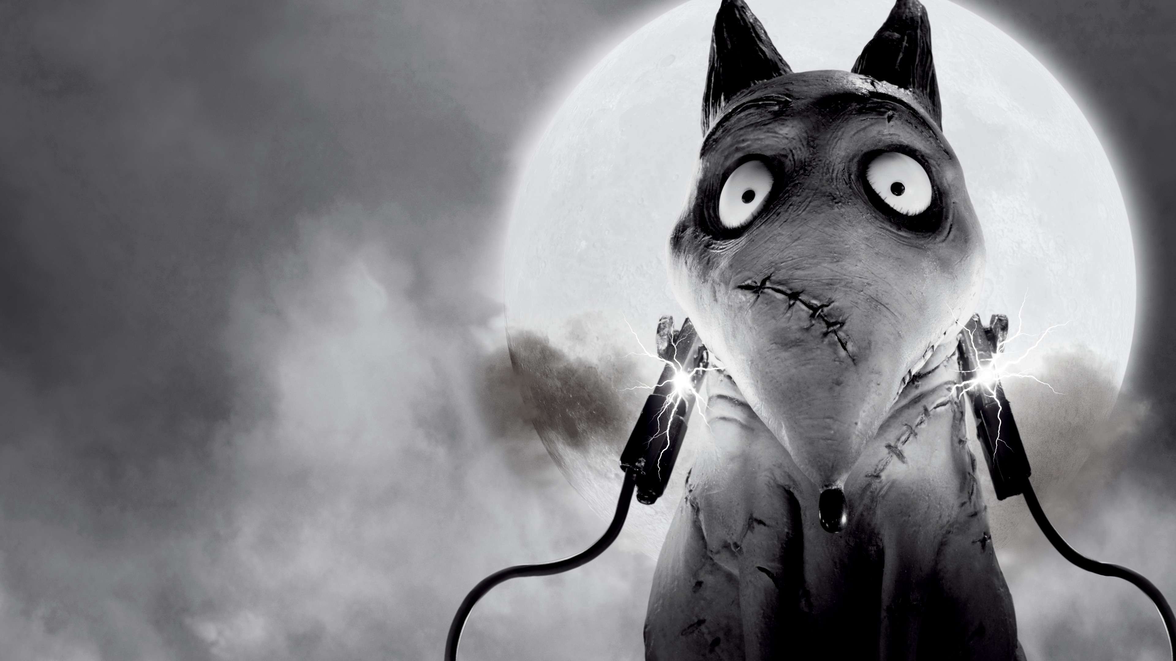 Frankenweenie: Domáci maznáčik