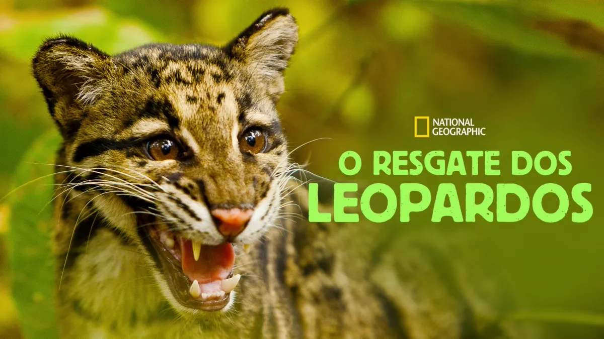 Assistir a Return of the Clouded Leopards | Disney+