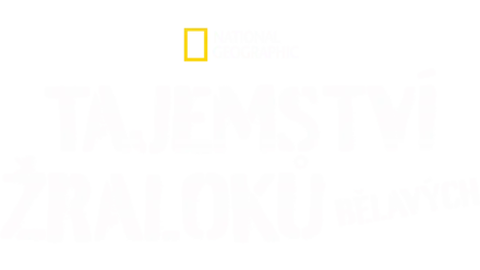 Tajemství žraloků bělavých