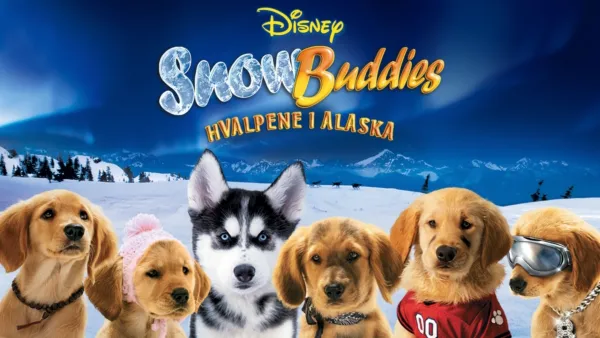 thumbnail - Hvalpene i Alaska (Snow Buddies)