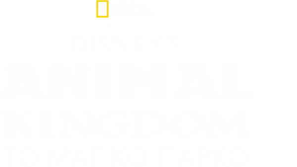 Disney’s Animal Kingdom: Το Μαγικό Πάρκο