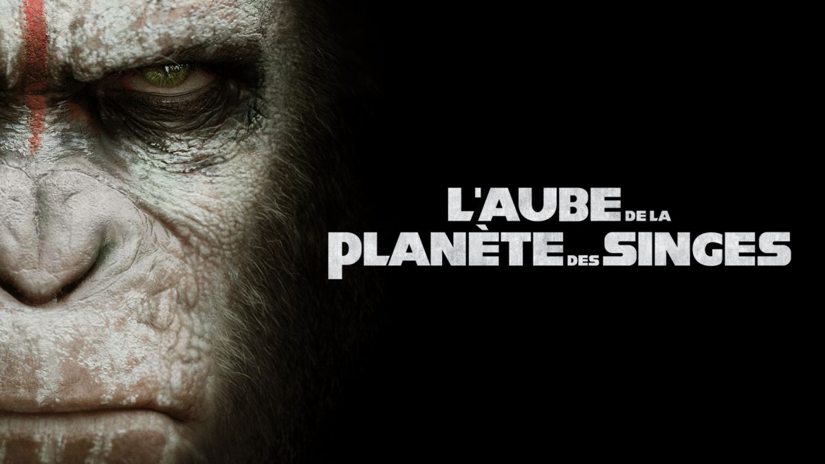 La Planète Des Singes Résumé Par Chapitre Regardez L'Aube De La Planète Des Singes | Film complet | Disney+