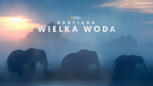 thumbnail - Nadciąga wielka woda