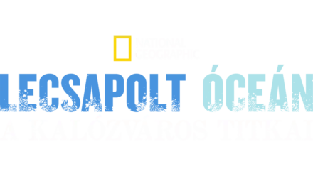 Lecsapolt óceán - A kalózváros titkai