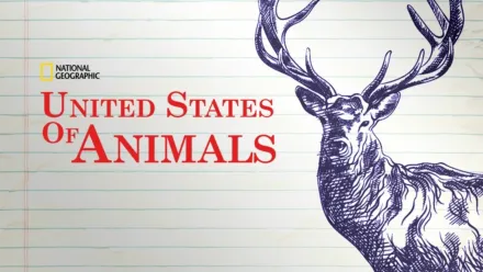 thumbnail - 미국의 동물들