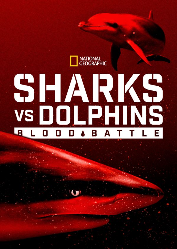 Sharks vs. Dolphins: Blood Battle on Disney+ CA