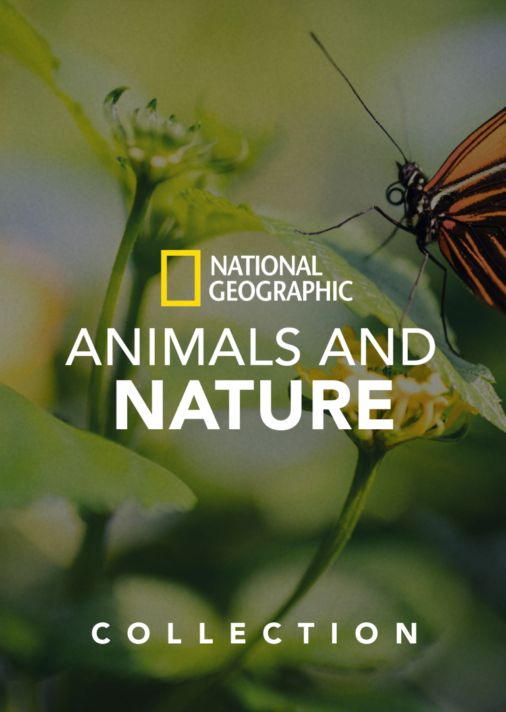 La minisérie National Geographic événement « UNE LUEUR D'ESPOIR » sera  disponible sur Disney+ à partir du 2 mai