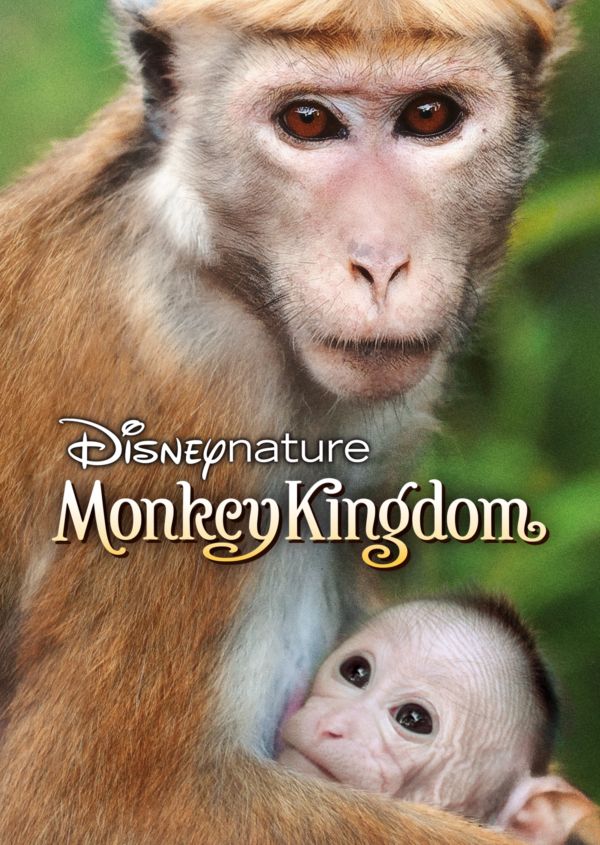 Disneynature Monkey Kingdom on Disney+ IE