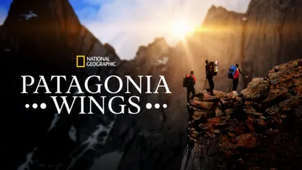 thumbnail - Patagonia Wings