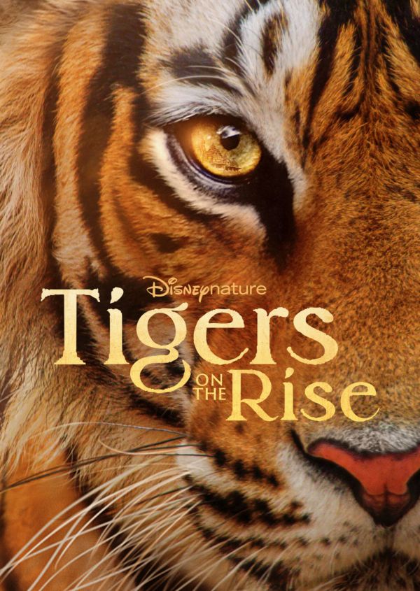 Tigers on the Rise on Disney+ ES