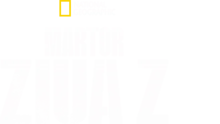 Martor: Ziua Z