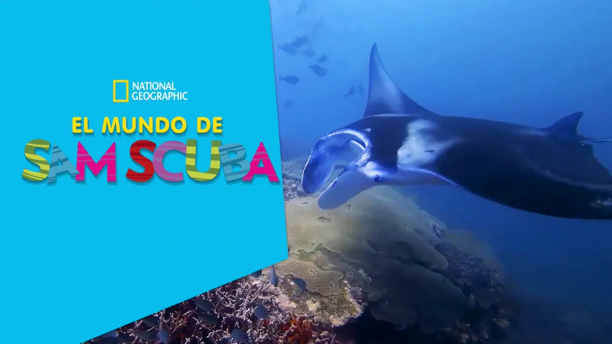 Ver El mundo de Sam Scuba | Disney+