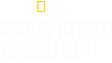 헤이즌 아델의 생존의 법칙