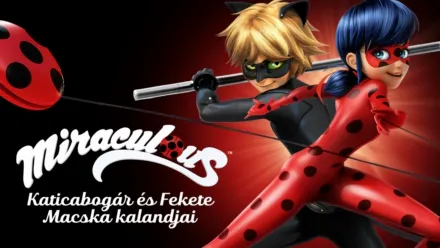 thumbnail - Miraculous - Katicabogár és Fekete Macska kalandjai