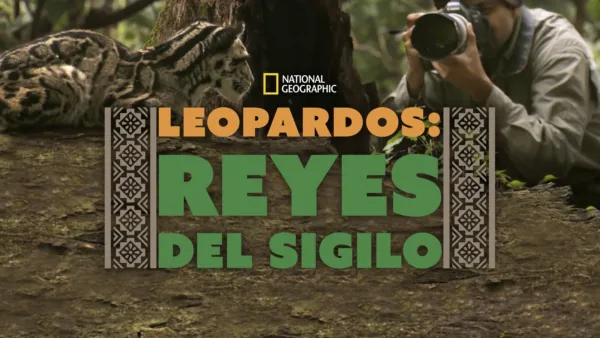 thumbnail - Leopardos: Reyes del Sigilo