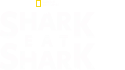 Watch Shark Eat Shark | Disney+