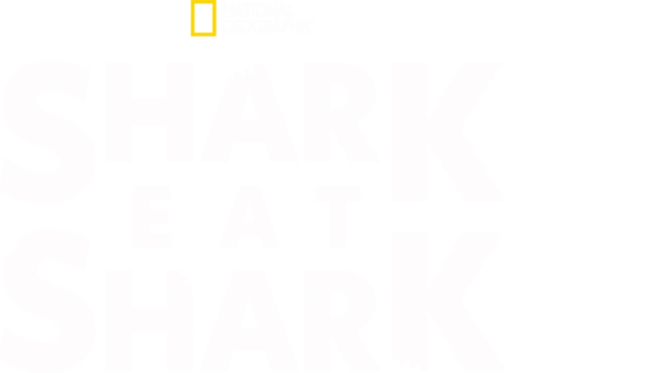 Watch Shark Eat Shark | Disney+