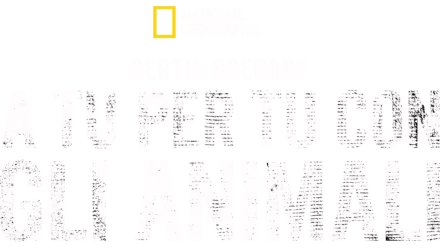 Bertie Gregory: a tu per tu con gli animali