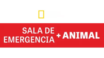 Sala de Emergencia Animal