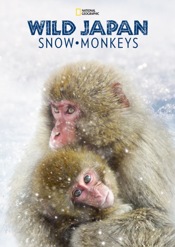 Wild Japan: Snow Monkeys