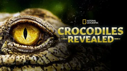 thumbnail - Crocodiles Revealed