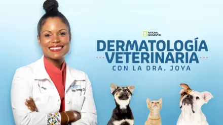 thumbnail - Dermatología veterinaria con la Dra. Joya