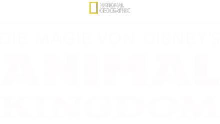 Die Magie von Disney's Animal Kingdom