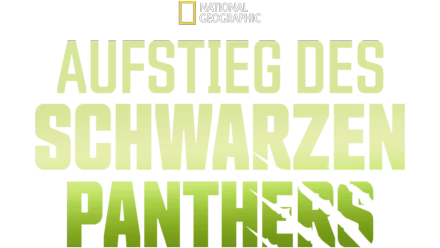 Aufstieg des schwarzen Panthers