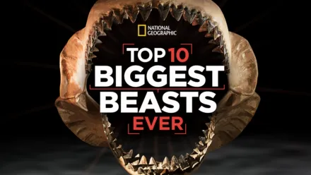 thumbnail - Top 10 Biggest Beasts Ever