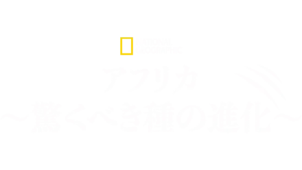 アフリカ～驚くべき種の進化～