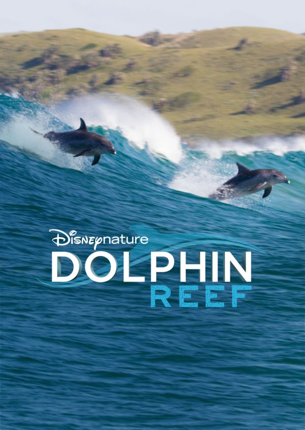 Dolphin Reef on Disney+ UK