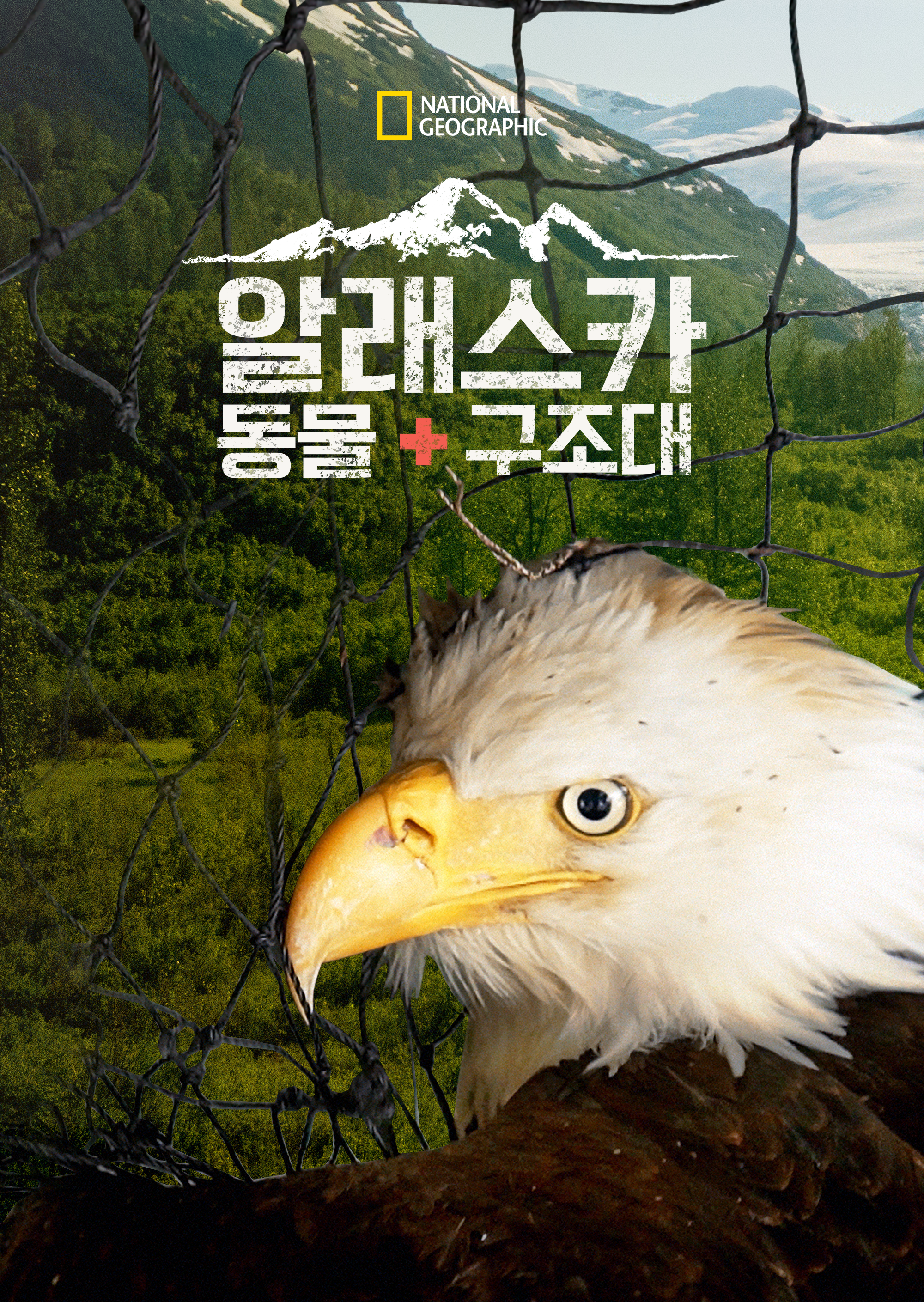 알래스카 동물 구조대