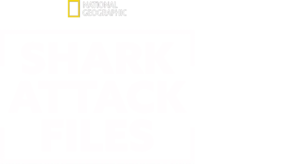 Os Ficheiros Dos Ataques De Tubarão