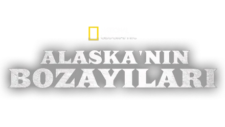 Alaska'nın Bozayıları