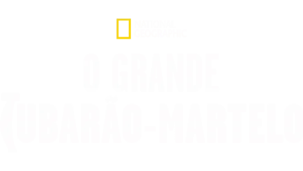 O Grande Tubarão-Martelo