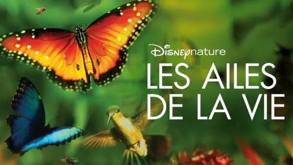 thumbnail - Disneynature : Les ailes de la vie