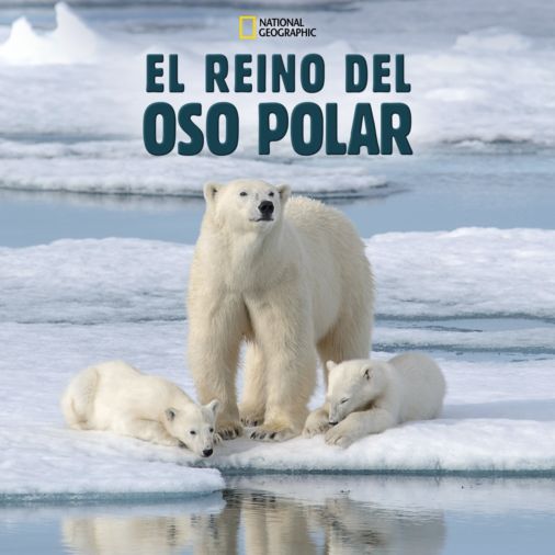 Desventaja Quien étnico Ver los episodios completos de El reino del oso polar | Disney+