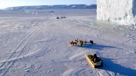 Arktis: Katoava jää