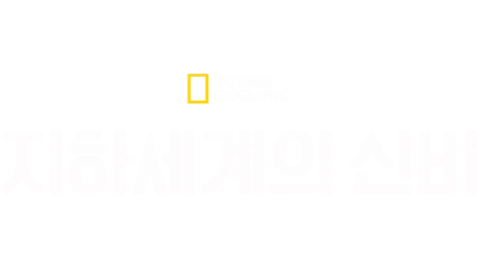 지하세계의 신비