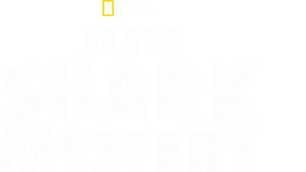 Die Tigerhaie von Maui