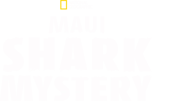 Die Tigerhaie von Maui