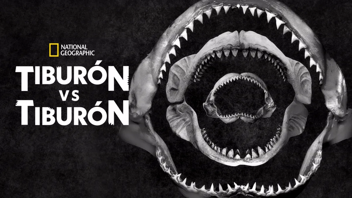 Ver Shark Eat Shark | Disney+