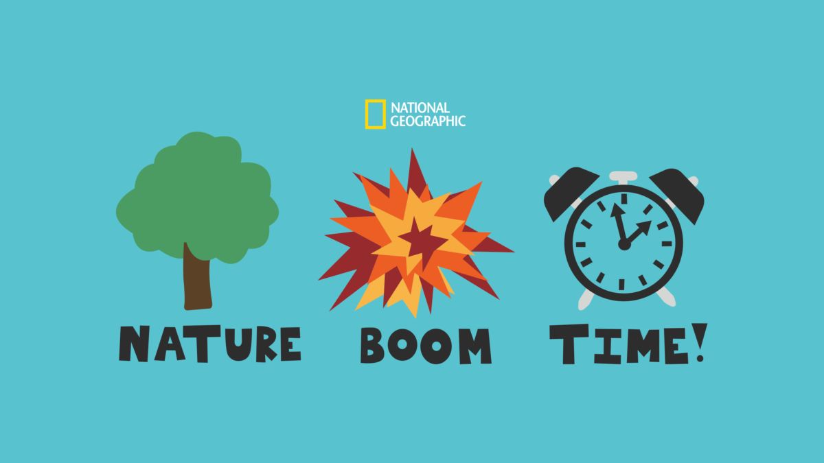 Watch Nature Boom Time Full episodes Disney+